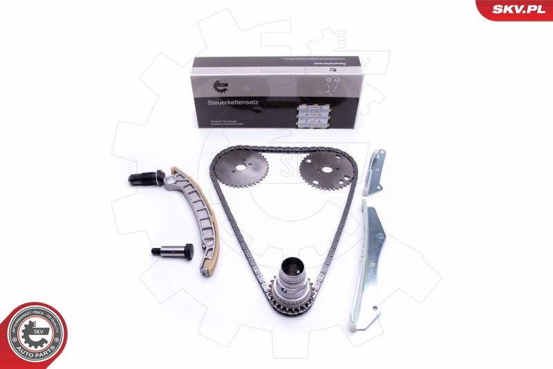 Timing Chain Kit